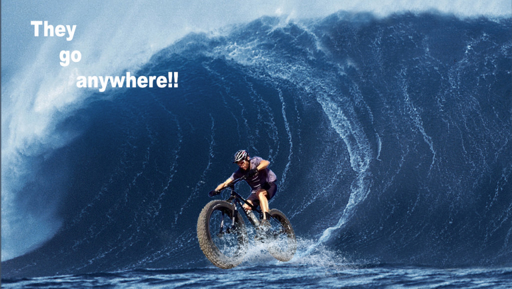 4650e84f84981b1cb38d72b21975fec3